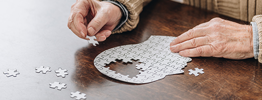 Image of a person putting together a puzzle in the shape of a human brain