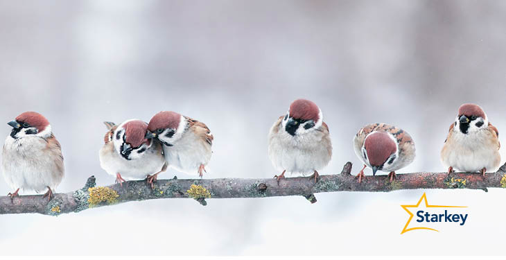 National-Bird-Day2
